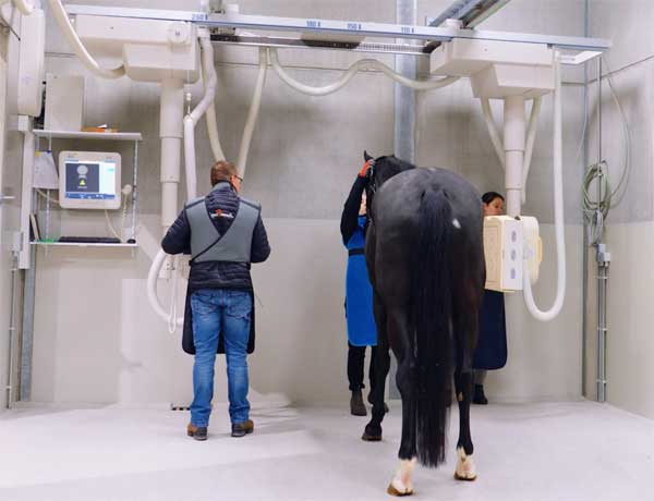 Radiologie